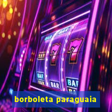 borboleta paraguaia